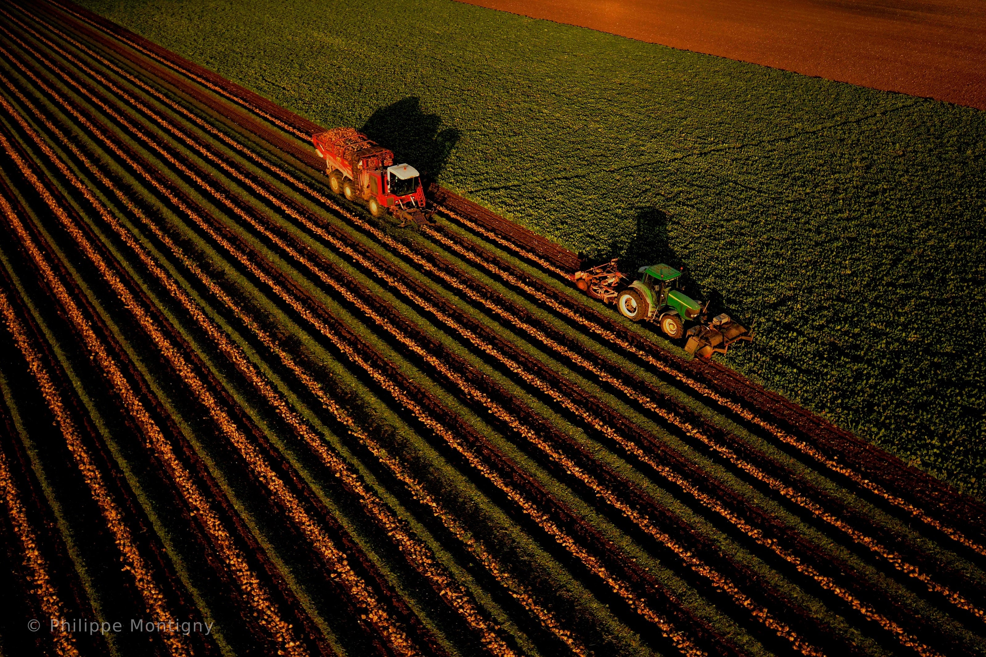 Agriculture