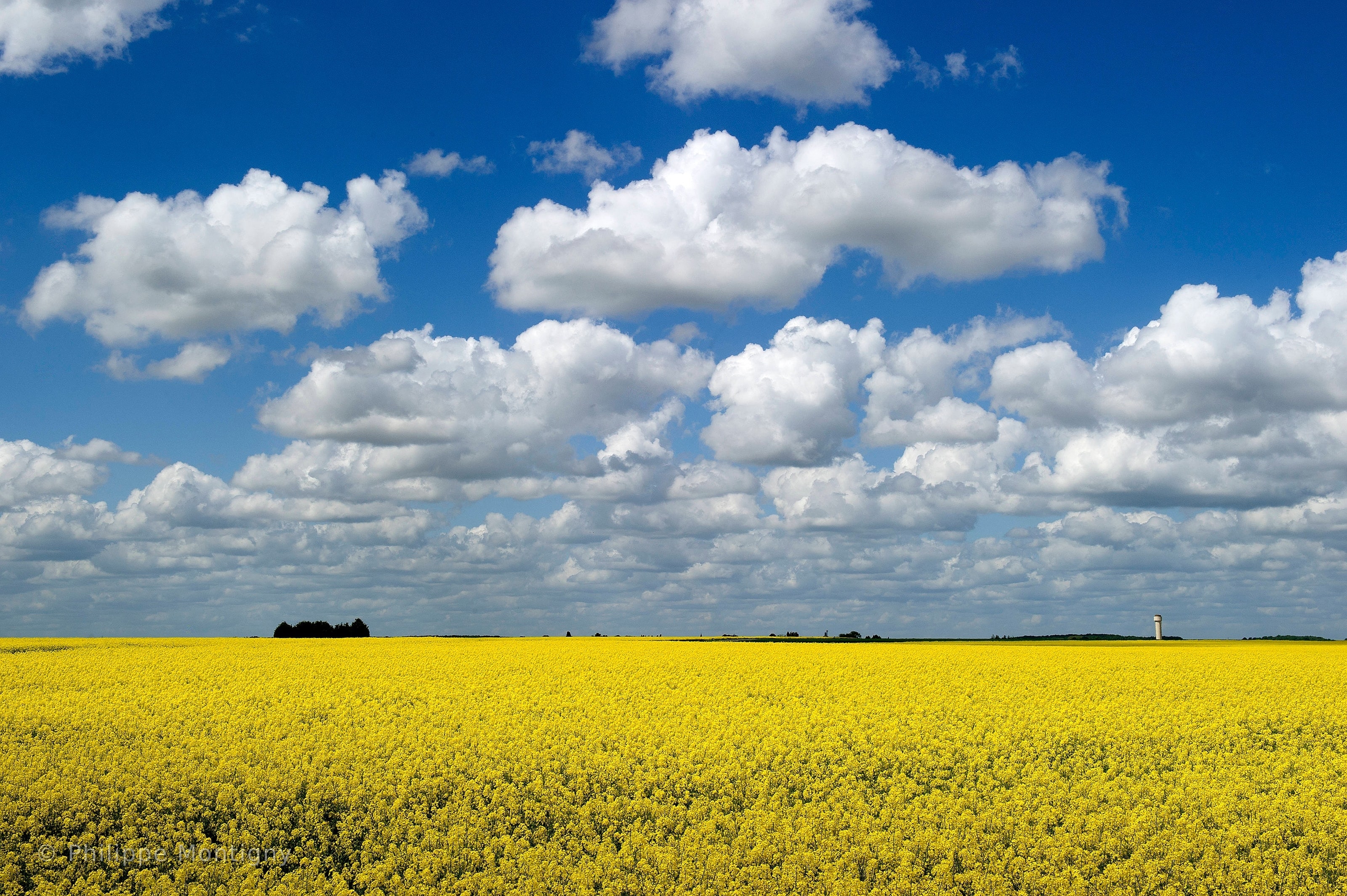 Agriculture