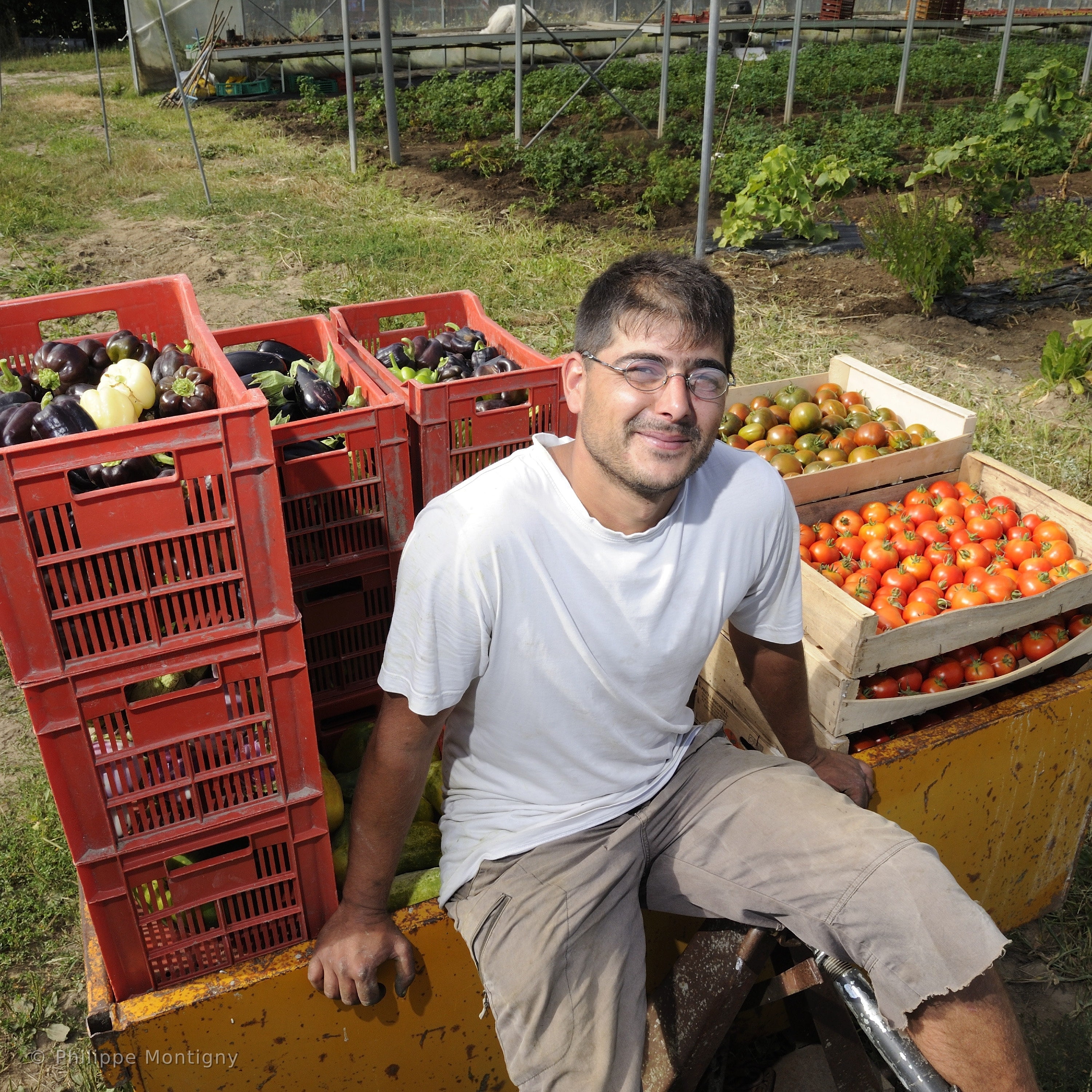 Agriculture