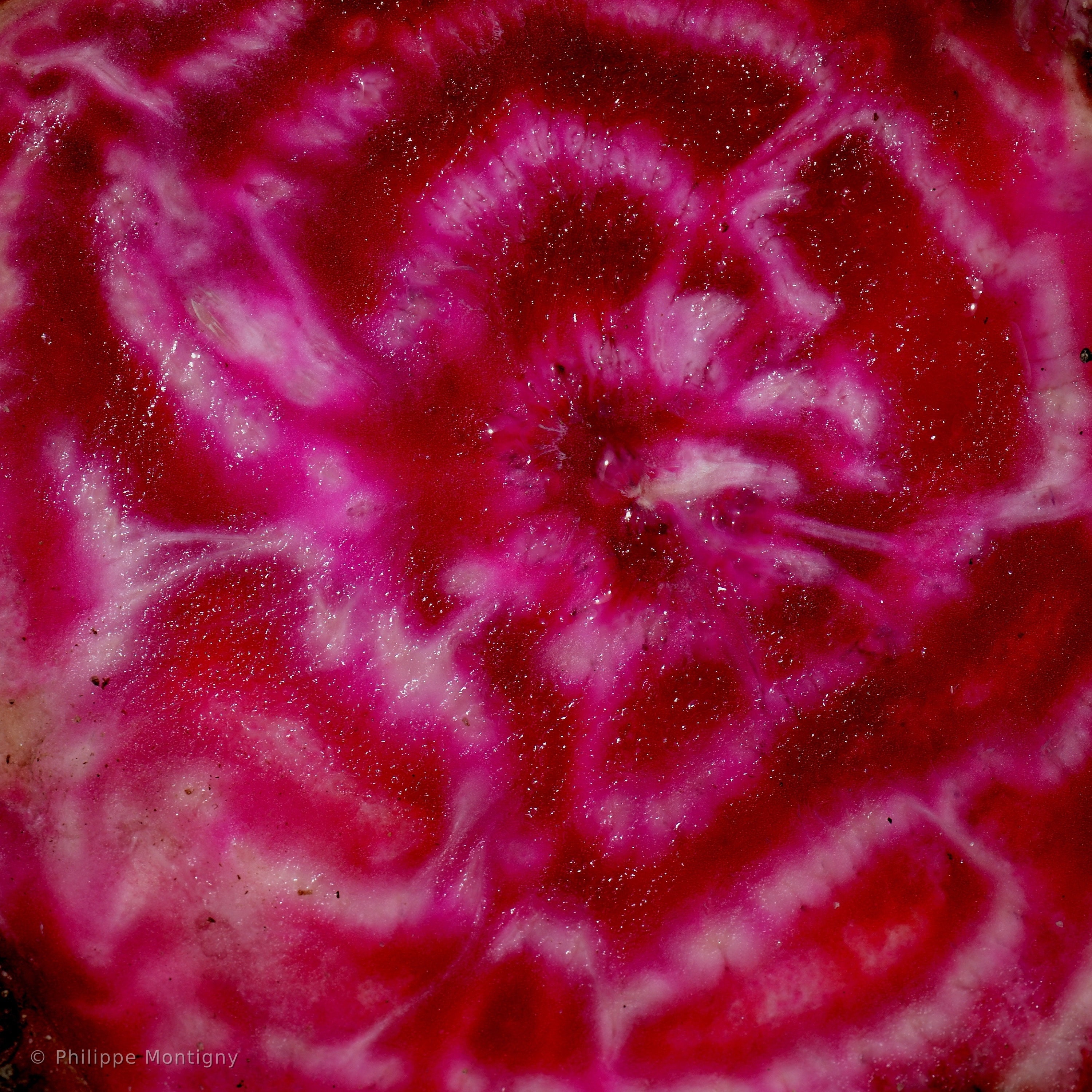 Agriculture