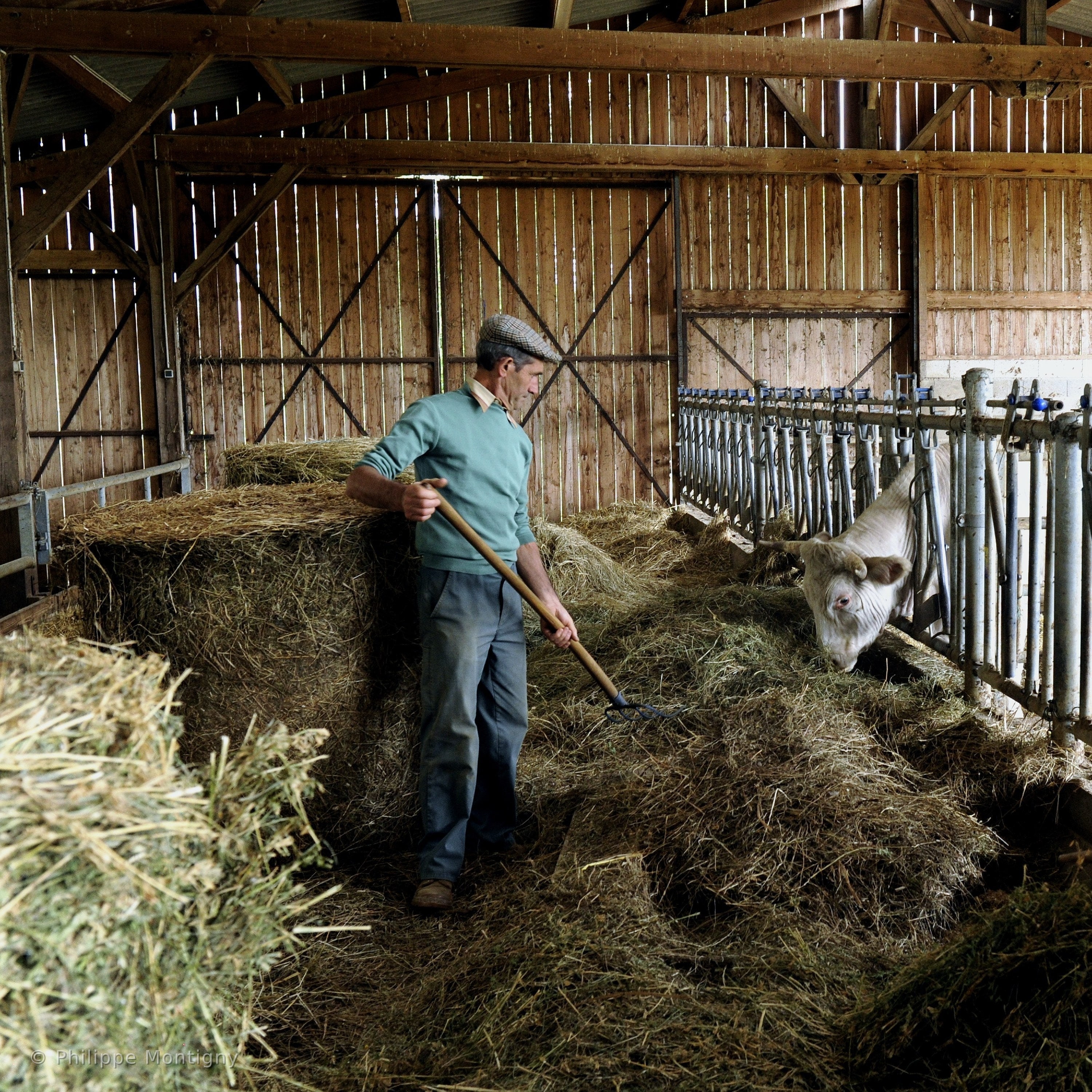 Agriculture