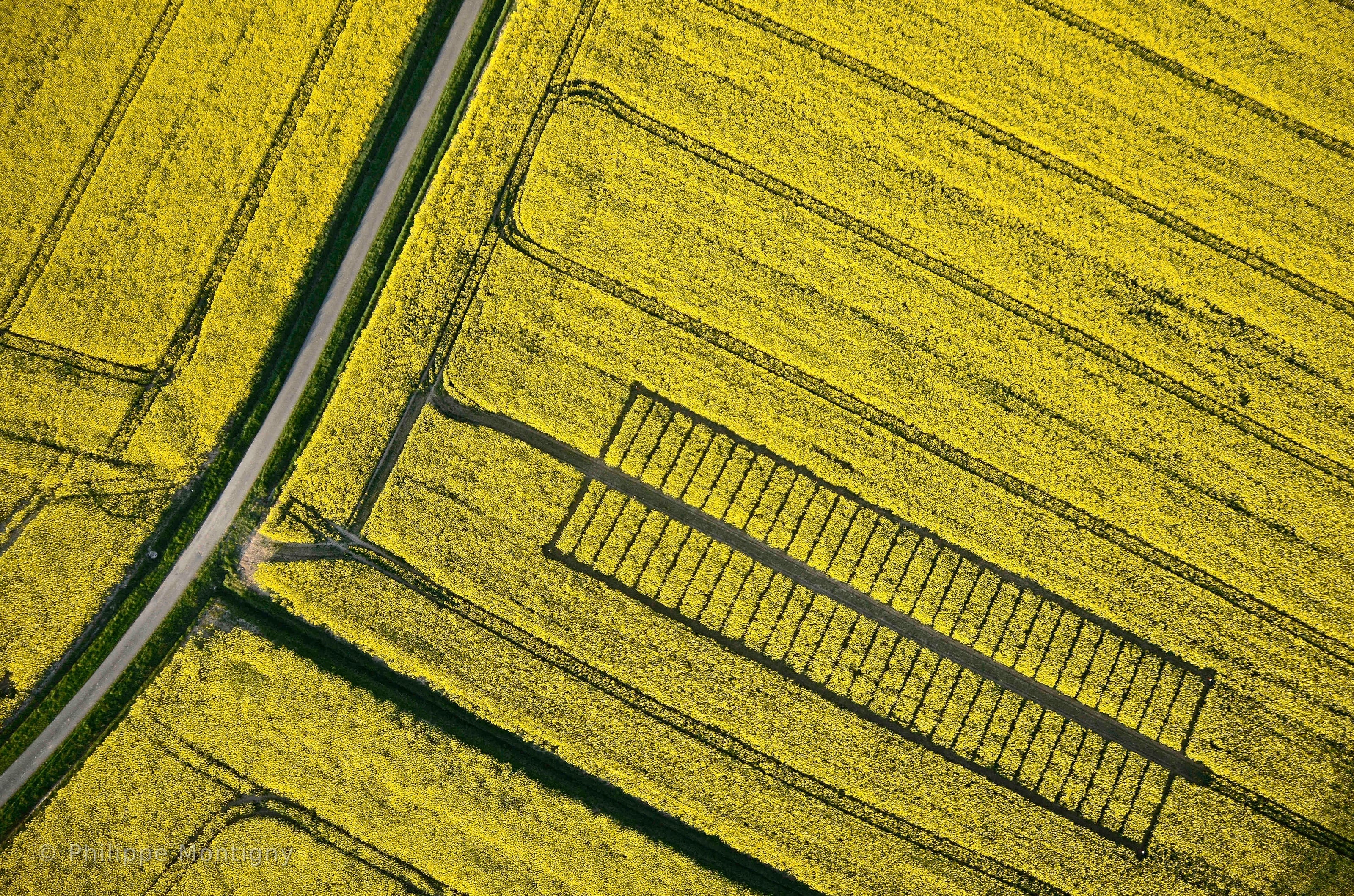Agriculture