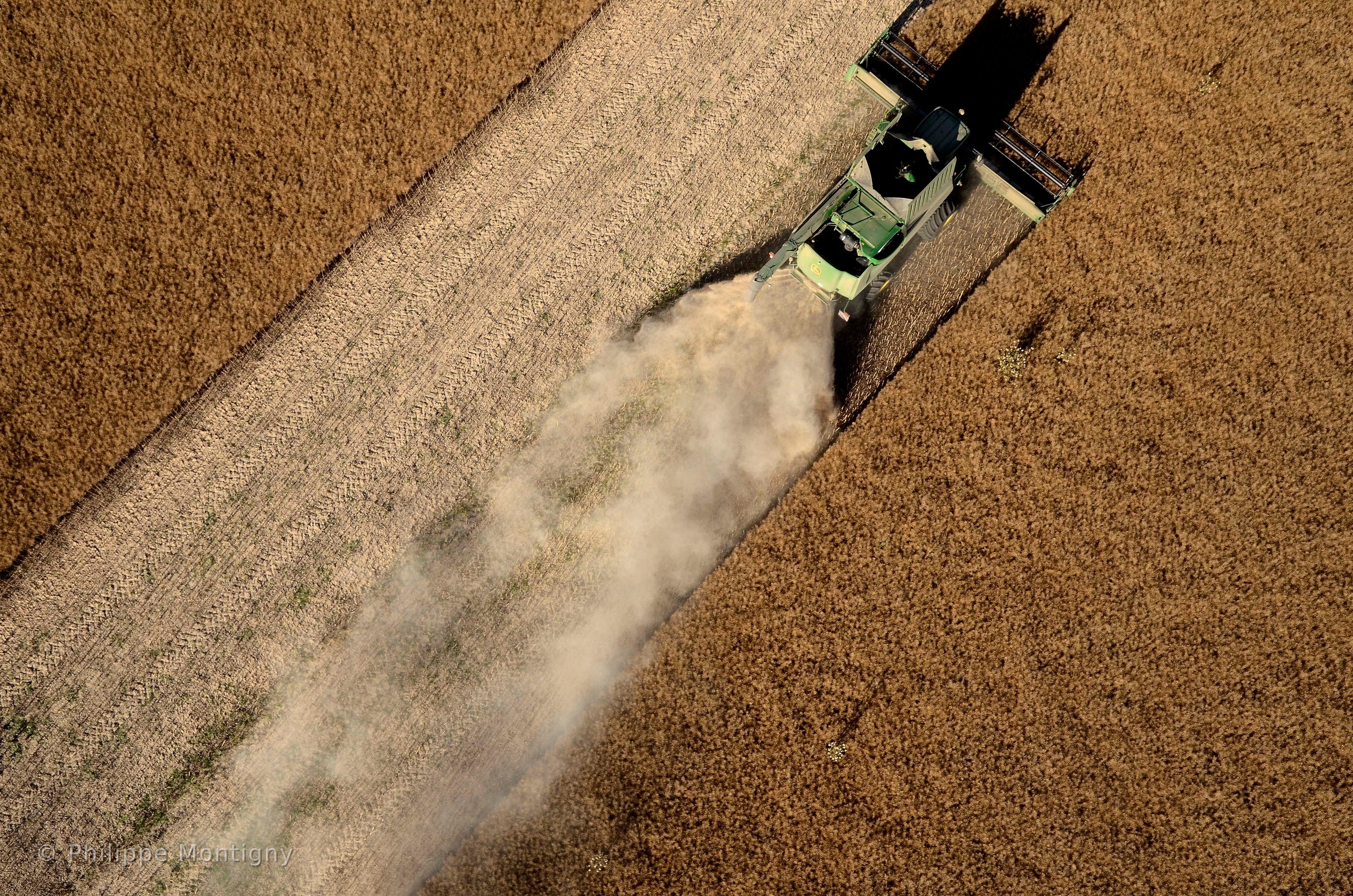 Agriculture