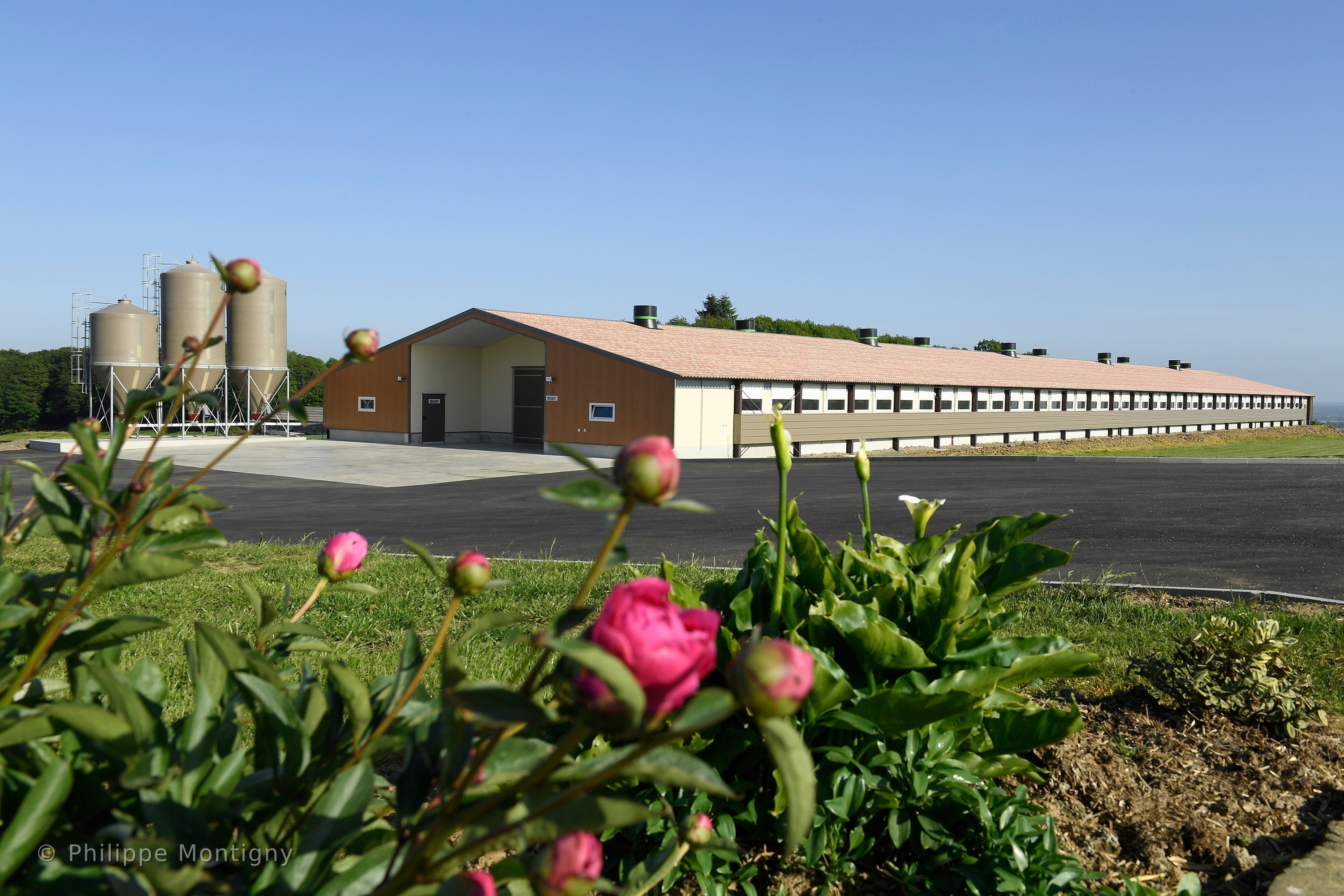 Agriculture