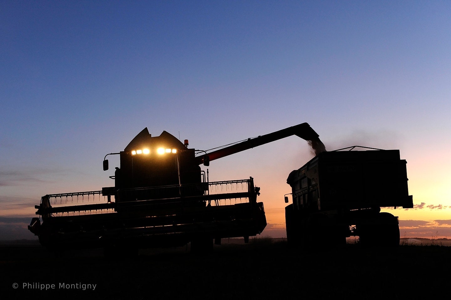 Agriculture