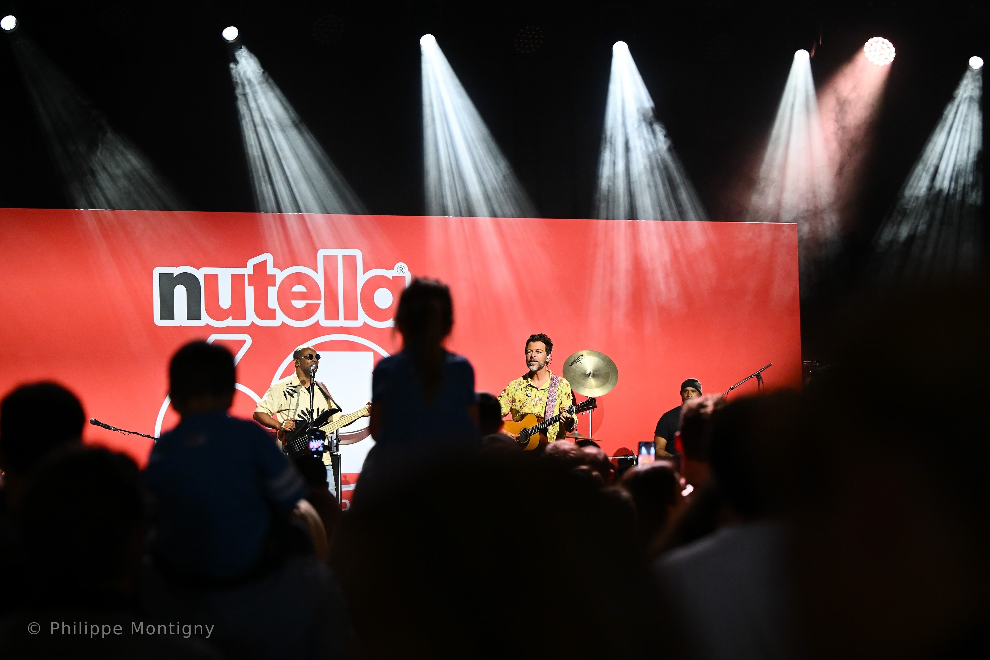 Concert live devant le public lors d'une soirée d'entreprise